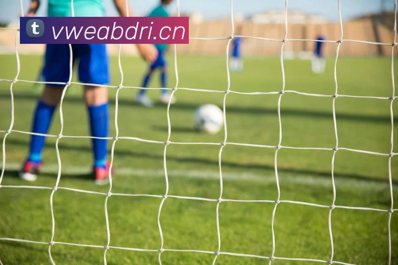 乐鱼在线登录官网服务体系